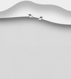 [1063-4669] 925 Silver Earrings