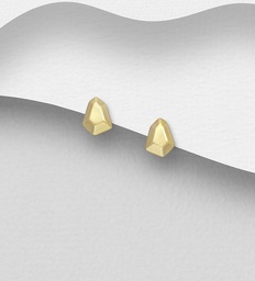 [1063-4800] 925 Silver Earrings