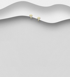 [1063-4498A] 925 Silver Earrings