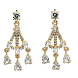 [108300] Gold Filled Earring