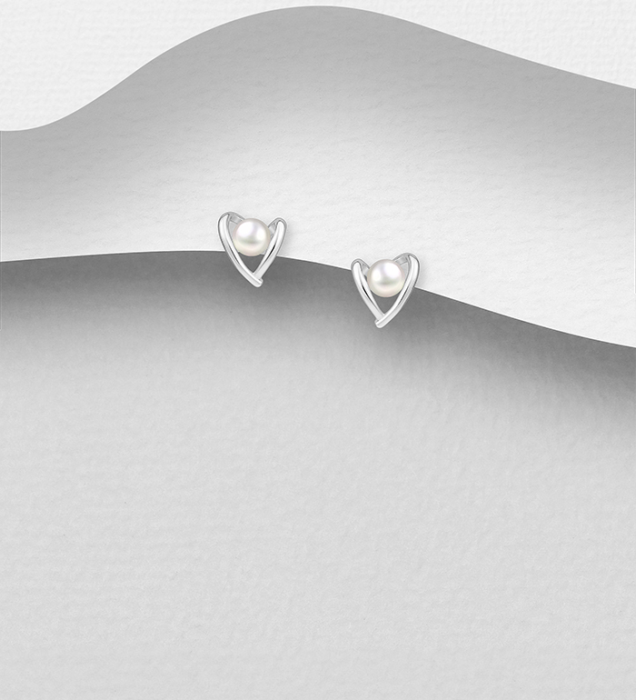 925 Silver Earrings