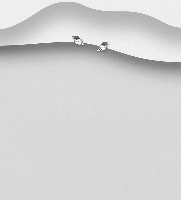 925 Silver Earrings