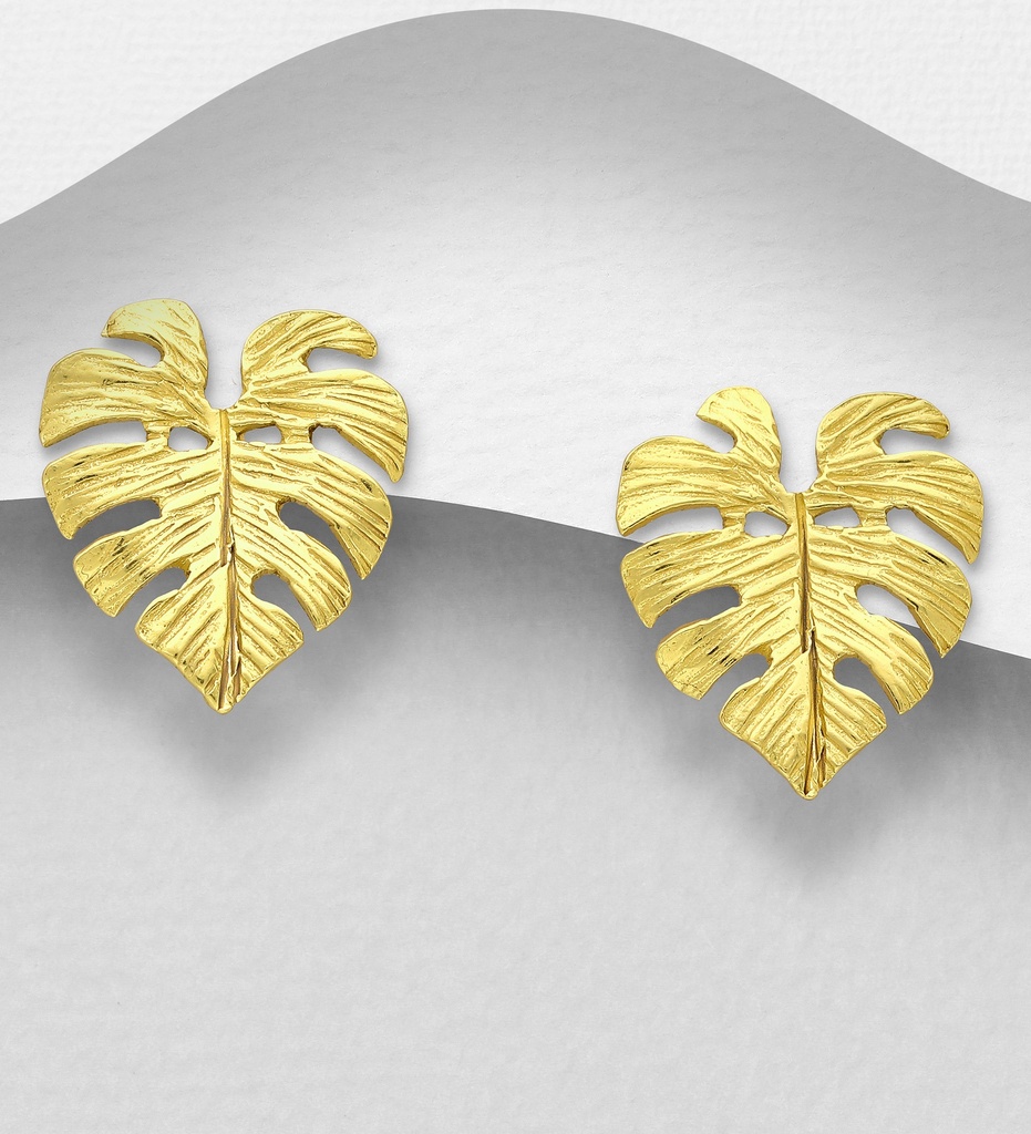 925 Silver Earrings