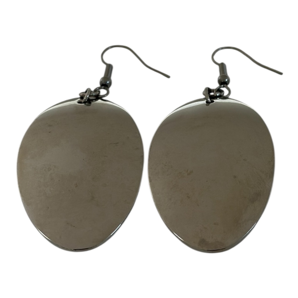 Steel Earrings