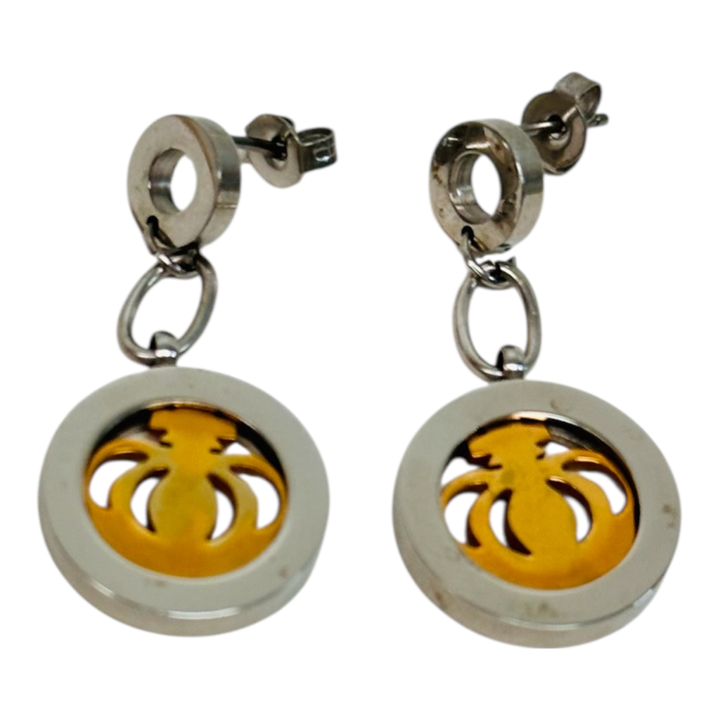 Steel Earrings