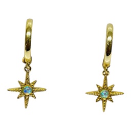[12903] Hoops Earrings