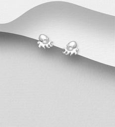 [1063-4546] 925 Silver Earrings