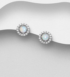 [1479-1414] 925 Silver Earrings