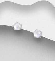 [781-7683] 925 Silver Earrings