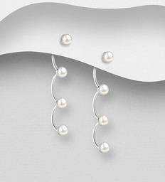 [1063-4215] 925 Silver Earrings