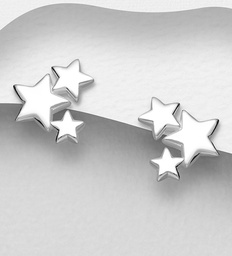 [1063-1547] 925 Silver Earrings