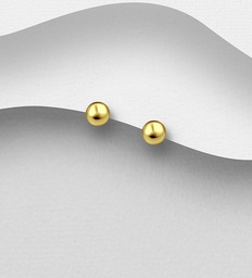[175304_569441] 925 Silver Earrings