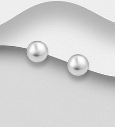 [13635_582245] 925 Silver Earrings