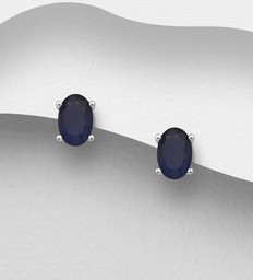 [1181-4184C] 925 Silver Earrings