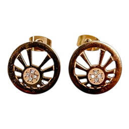 [Steel28] Steel Earrings