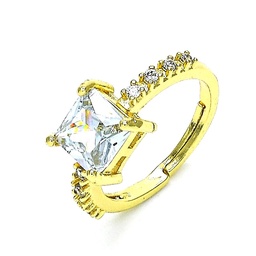 [148592]  Gold Filled Rings