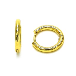 [152950] Gold Filled Hoops